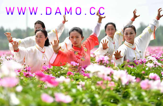 内功 易筋经