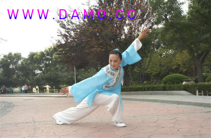 胎息 胎息经