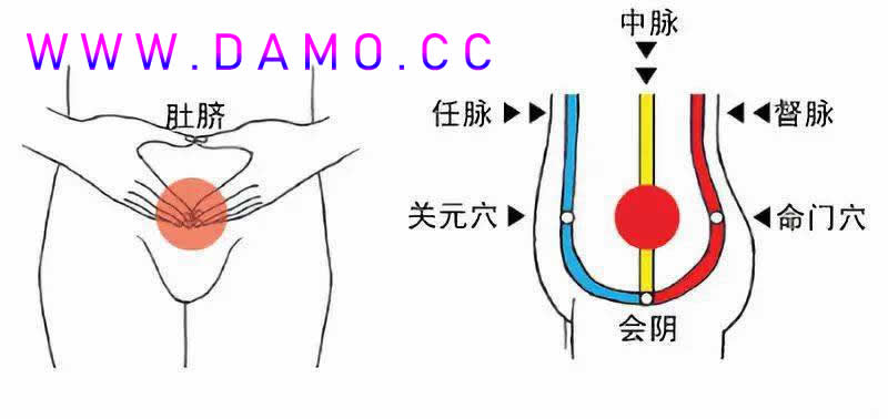 养生课 养生